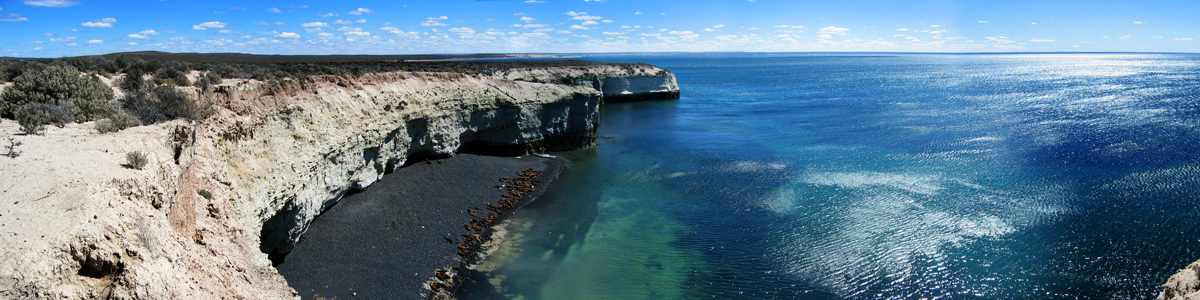 Patagonia - Puerto Madryn - Punta Tombo