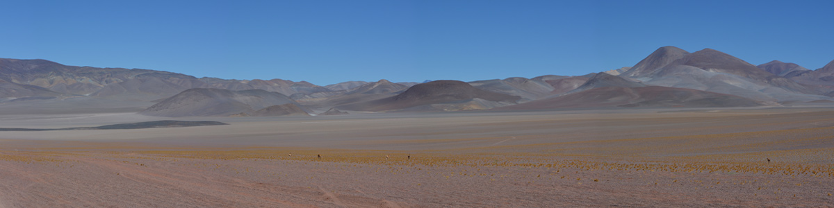 Catamarca - Laguna Blanca