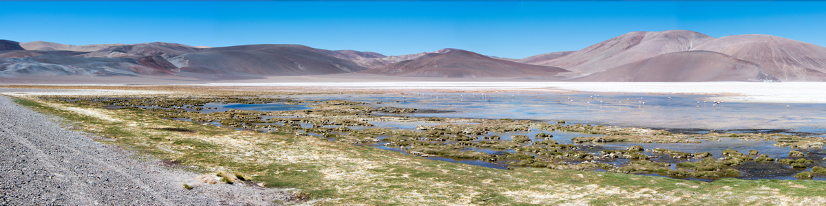 Catamarca - Laguna Blanca