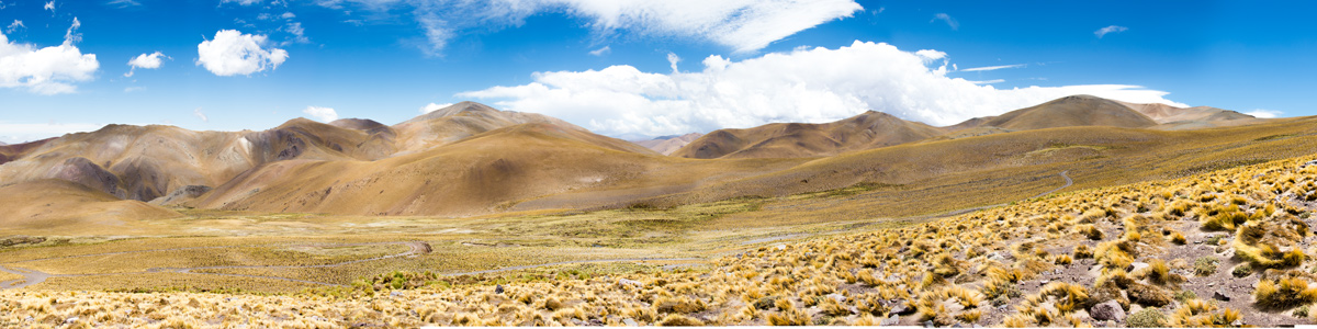 Catamarca - Ruta al Pisis