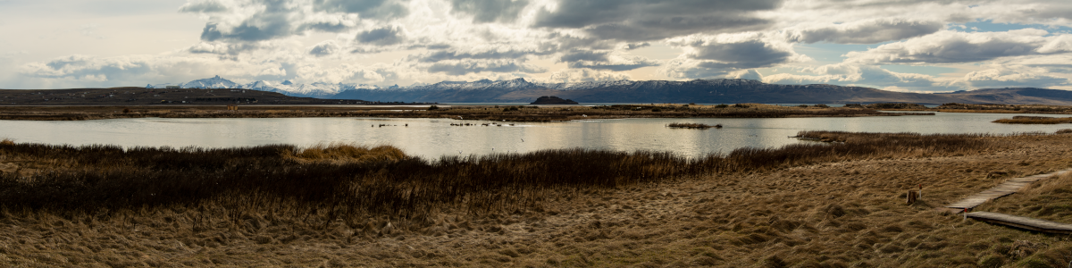 Santa Cruz, Calafate, Laguna Nimez